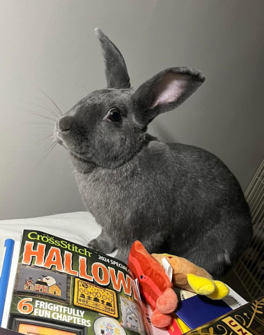 Betsy - Mix
