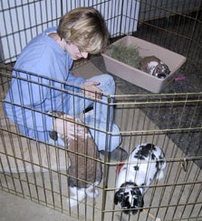 playing on the floor with rabbits